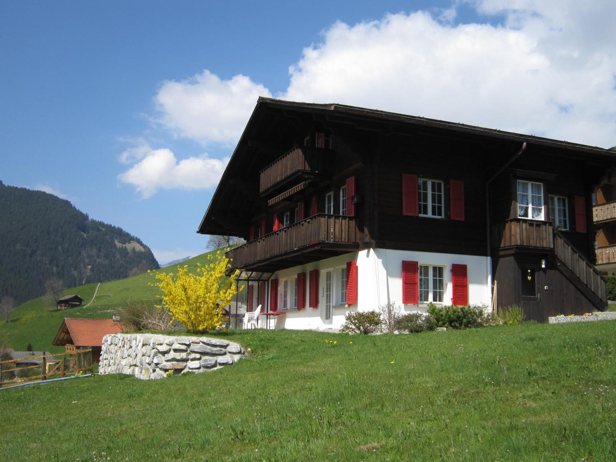 Chalet Aiiny Гриндельвальд Экстерьер фото